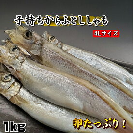 子持ちからふとししゃも【約1kg】送料無料　【冷凍】メス　子持ちからふとししゃも 約1kg お徳用 大容量 プチプチ卵たっぷり 焼くだけ簡単 魚 お弁当 おかず おつまみ 骨まで食べられる 通販 人気