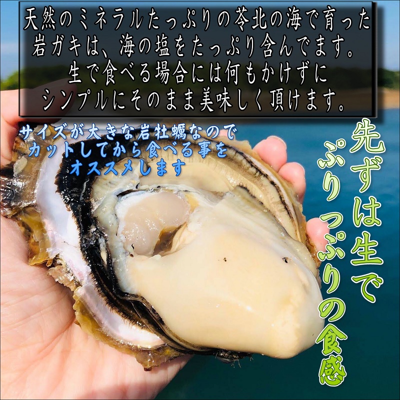 2021年最新海外 夏季限定 日本海産 天然岩牡蠣 殻を割ってお届け 8個セット 殻付き かき カキ お中元 ギフト