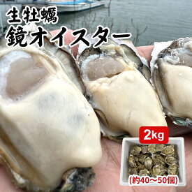 生食用 熊本産【産地直送】鏡オイスター【40~50個入り-2kg】【今が旬】お歳暮　期間限定　お取り寄せ お取り寄せグルメ 焼き牡蠣 かき カキ 生カキ カキ小屋 家庭用 ご家庭用 刺身用 海鮮 海鮮料理 海鮮丼 寿司 スガキ 酢かき 極上かき
