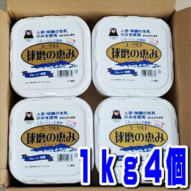 球磨酪農 球磨の恵ヨーグルト1k×4個　送料無料 人吉球磨　球磨酪 ヨーグルト 1kg ジャンボサイズ
