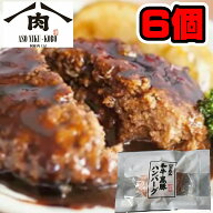 黒毛和牛 黒豚 合挽 ハンバーグ 110g × 6個入　【送料無料 九州産 和牛 黒豚 ハンバーグ 6個 九州 熊本 …