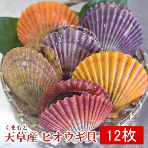 ЂL@F{VY@y12zj Ε@ԌyYnzzJ[VF Jt z^e𒴂| V  񂹃O  p j 