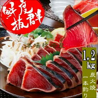 鹿児島枕崎産 かつおたたき 【約1.2kg 】送料無料 かつお公社 【タレ付き】冷凍 お刺身用 ギフト 贈答 お…
