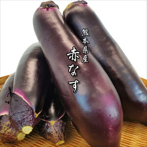 F{Y ԂȂ 20{ ԂȂ F{Y ʔ F{  VN  F{Y Ȃ ԉ֎q ֎q VN {̖ 