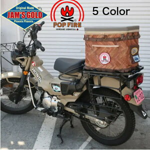 ORIONACE IIG[X JAMfS GOLD ۗV[gobO sIV[g ۗobO ԍډ\