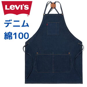 Levifs [oCX fj [NGv Gv 100 TCY t[TCY levis Y fB[X j  jp Ɨp  K[fjO 004d20000