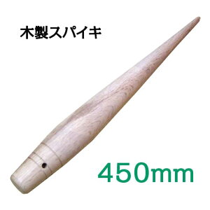 ؐXpCL@450mm@[v̉HɁI