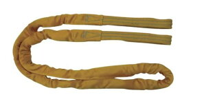 �u���[�X�����O�\�t�g E�`(���[�A�C�^�C�v) 3.2t�p(���F) 2.5m TESAC �e�U�b�N