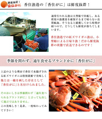 商品画像4