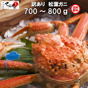 ɂ̖{I艷y wOKzMtgKi 1C(700g`800g)ËRJj t v䥂łɏi({C)䥂łĖⓀ̃^Ot ܂΂ tJj tKj