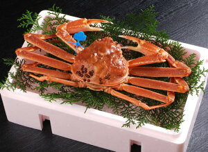 ɂ̖{I艷y tKj ËR`Yz(700g`800gTCY)1C tKj t ËRKj ܂΂ tJj tKj {C tI Ⓚ  킢 