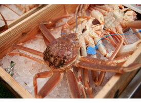 かにの本場！城崎温泉【送料無料 指定日OK 津居山港産 】 活け松葉ガニ 大(800gから1kgサイズ) 活松葉がに 活松葉ガニ 松葉がに 津居山ガニ まつばがに 松葉カニ 松葉ガニ 松葉蟹 未冷凍 かに ずわいがに ズワイガニ ギフト お歳暮　津居山カニ 日本海