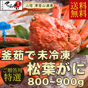 ɂ̖{I艷y wOK zMtg 䥂łĖⓀ@ËRJj tKjv䥂łɏ́wtɁx({C)1C(800`900g)܂΂ tJj t