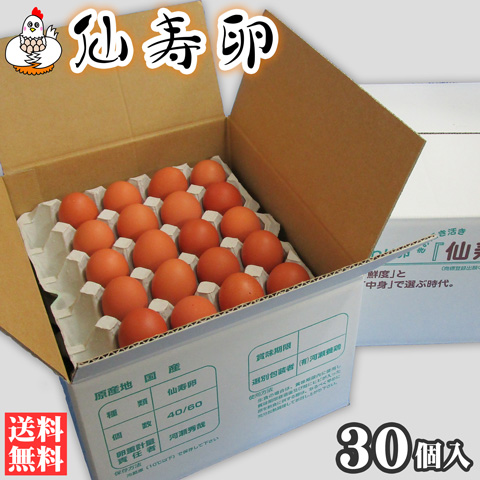 【テレビで話題】 仙寿卵３０個入（破損保証３個を含む） 卵