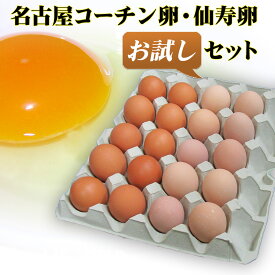 【送料無料】名古屋コーチン卵仙寿卵お試しセット（破損保証2個を含む）