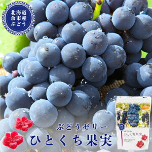 HORI(z) Ԃǂ[[ ЂƂʎ ([Y) 12 kC yY 蕨 v[g Ԃ j j N o^Cf[ zCgf[ ފ ̓  ܎O NX}