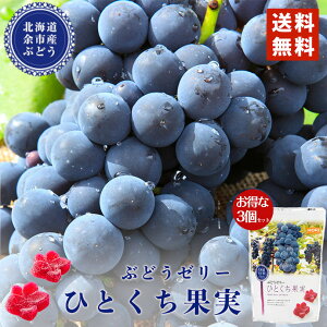 HORI(z) Ԃǂ[[ ЂƂʎ ([Y) 12×3Zbg kC yY [  [[ Mtg 蕨 v[g Ԃ j j N o^Cf[ zCg