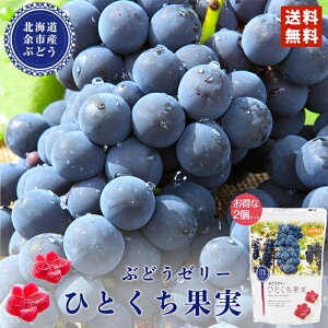 HORI(z) Ԃǂ[[ ЂƂʎ ([Y) 12×2Zbg kC [ yY [[ Mtg 蕨 v[g Ԃ j j N o^Cf[ zCgf[ 