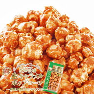 花畑牧場 プレミアムポップコーン 夕張メロン生キャラメル 90g 北海道産 お菓子 おやつ 手造り お土産 手…