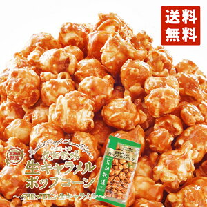 Ԕq v~A|bvR[ [L 90g   kCY َq  葢 yY yY v[g 蕨  ʏ` o^C