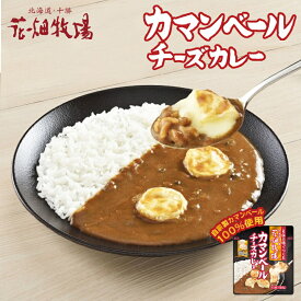 花畑牧場 カマンベールカレー 150g 3個セット 送料無料 北海道 お土産 ギフト ご当地 カレー チーズ