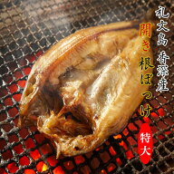 【BBQ特集300円OFF】特大 開き根ぼっけ 500g 送料無料 送料込 北海道 礼文島産 干物 ホッケ ほっけ 北海…
