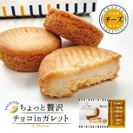 ちょっと贅沢 チョコinガレット 10個入 送料無料 北海道 スイーツ おみやげ チョコレートケーキ 洋菓子 タルト プレゼント お土産 バレンタイン