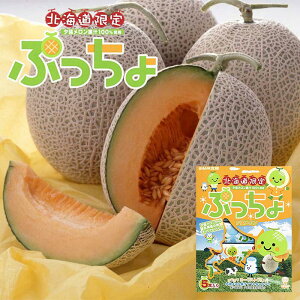 UHAo kC Ղ [ 105{ kC n ʏ` yY yY 蕨 Mtg o^C zCgf[