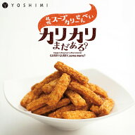 札幌カリーせんべいカリカリまだある？40g 小袋タイプ 送料無料 北海道 スパイシー スティックタイプ 揚…