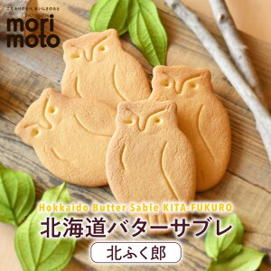  kCo^[Tu kӂY 5 kC  蕨 Mtg v[g kCYf yY yY َq Ăَqo^C