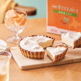 ふらの雪どけチーズケーキ 北海道メロン 送料無料 morimoto もりもと 北海道 千歳市 富良野 ケーキ チーズ ご当地 お土産 ギフト プレゼント 贈り物