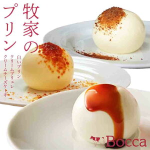 bocca q v 3ރZbg (vEN[uENVbN`[YP[L)(e1{)  kC v P[L o^C Dv ~Nv ċ ~L[ X