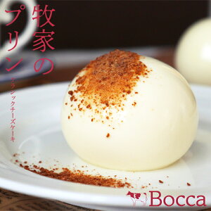 bocca qƂ̃NVbN`[YP[L(75g×4)kC v ~Nv `[Yv D ċ kCY  yY v[g o^C