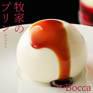 bocca q qƂ̔v 75g 4ʓ  kC ~Nv D ċ kCY  J\[X yY v[go^C