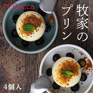 bocca �q�Ƃ̃N���V�b�N�`�[�Y�P�[�L 75g×4�� �������� �k�C�� �v���� �~���N�v���� �`�[�Y�v���� ���D ���ċ��� �k�C���Y ���� ���y�Y �v���[���g �o�����^�C��