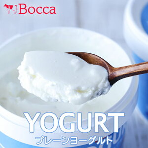 q v[[Og 500g  kC [Og Bocca ~N N[~[ ͂ n yY Mtg v[g 蕨