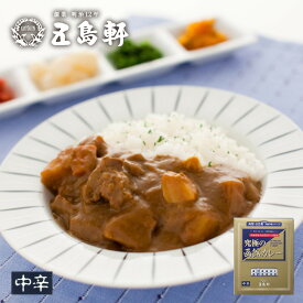 五島軒 カレー レトルト 究極の函館カレー 210g 中辛 北海道 レトルト食品 お土産 ギフト お取り寄せ プレゼント 食品 お祝い 内祝 御中元 御歳暮 贈り物 備蓄