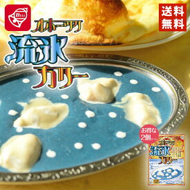 カレー レトルト ベル食品 クリシュナ オホーツク流氷カリー×2個セット 220g メール便 送料無料 話題 プレゼント ギフト お土産 お取り寄せ 人気 バレンタイン