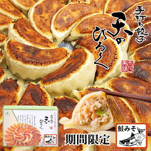 V̂т낭 ݂Lq 12 Lq kC p[eB[ yY v[g Mtg   X o^C