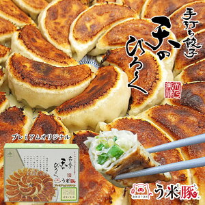 V̂т낭 łLq v~A 12 Lq ⓀLq 傤 MEU ؗ  y  ܂  p[eB yY kC v[g Mtg   X o