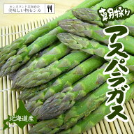 アスパラ 北海道 ギフト (※L・2L サイズ混載) グリーンアスパラ 朝採り 直送 アスパラガス 野菜ギフト …
