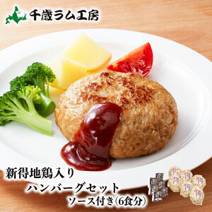 レトルト ハンバーグ ギフトの人気商品 通販 価格比較 価格 Com