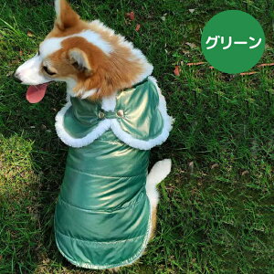  hbOEFA ݕt {A xXg  H ~ g h m  t[X WPbg U |Cg Ȃ ȒPp ̕ 