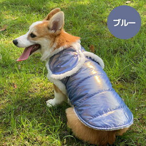  hbOEFA ݕt {A xXg  H ~ g h m  t[X WPbg U |Cg Ȃ ȒPp ̕ 