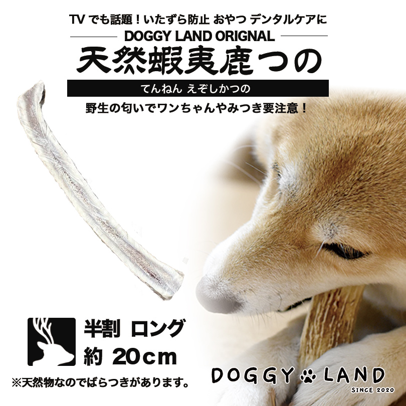 楽天市場】Deerhorn【半割ロング】 北海道産 鹿角 ペット 犬 おもちゃ