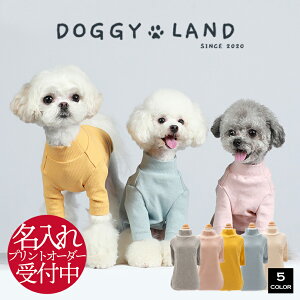  hbOEFA nClbN OX[u 5F  Cheepet `[ybg  ̕ hM[h H~   킢 uh ` ~j`A_bNX gCv[h X^