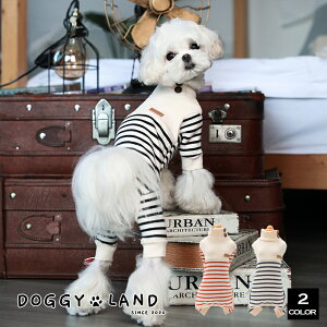  hbOEFA {[_[ p[X Jbg\[   ̕ Cheepet `[ybg hM[h DOGGYLAND H~   킢 uh ` ~j`A_bNX gCv[h