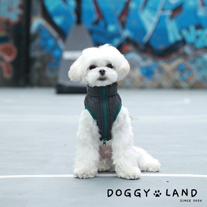 楽天市場 犬服 ドッグウェア ベスト 犬 服 犬の服 Cheepet チーペット ドギーランド Doggyland 秋冬 冬 送料無料 おしゃれ かわいい ブランド チワワ ミニチュアダックス トイプードル ダックス 軽い 暖か ダウンベスト リード穴 着やすい 優しい肌触り 犬服 ペット服