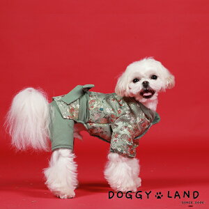  hbOEFA    ̕ Cheepet `[ybg hM[h DOGGYLAND H~ ~   킢 uh ` ~j`A_bNX gCv[h _bNX ӂӂ 