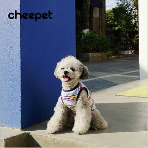 1000~|bL  hbOEFA ^Ngbv   ̕ Cheepet `[ybghM[h DOGGYLAND XgCv t    킢 ` ~j`A_bNX gCv[h